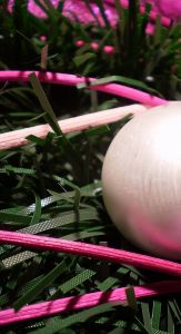 v�no�n� stromek, v�noce